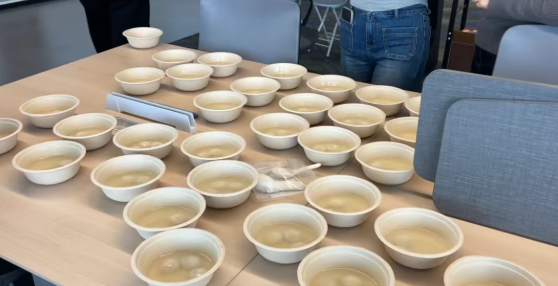 /ueditor/image/20260310/1773131769944296/03c1881b7956c476ad4de8215f11203d.png 6.png